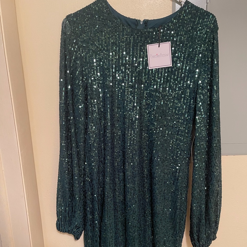 Sequined Long Sleeve Knee Length Dress